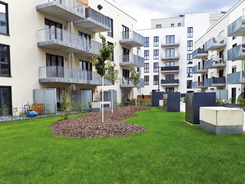 Newly planted small trees surrounded by residential buildings